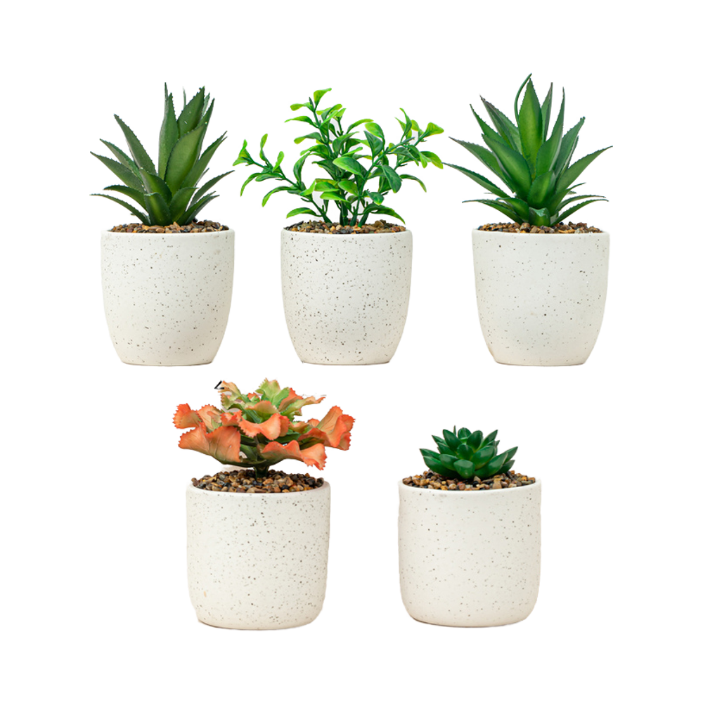 Flower Pots