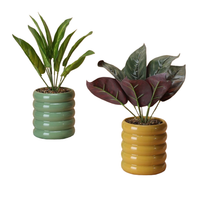 Hancai Cheap Small Ceramic Flower Pot Indoor Round Shape Flower Pots With Plastic Greenery
