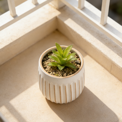 Hancai New Style Accessories Ceramic Textured Durable Nordic Flower Pots for Succulents White Planter for Home Office Garden Balcony