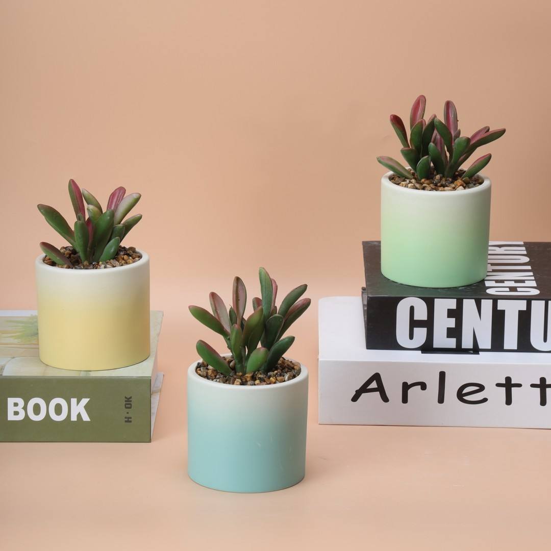 Hancai Cheap Small Ceramic Flower Pot Indoor Round Shape Flower Pots With Plastic Greenery