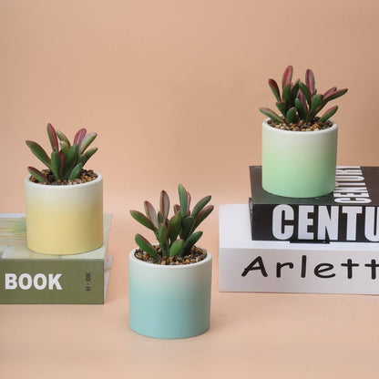 Hancai Cheap Small Ceramic Flower Pot Indoor Round Shape Flower Pots With Plastic Greenery