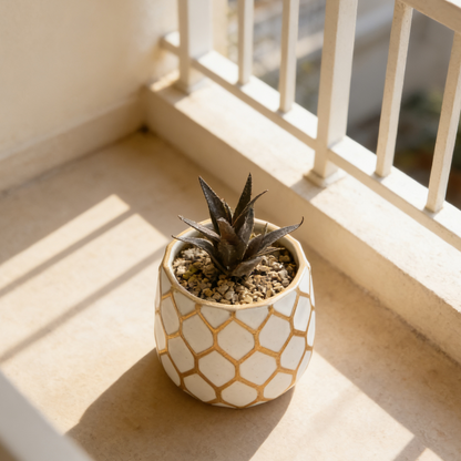 Hancai New Style Accessories Ceramic Textured Durable Nordic Flower Pots for Succulents White Planter for Home Office Garden Balcony
